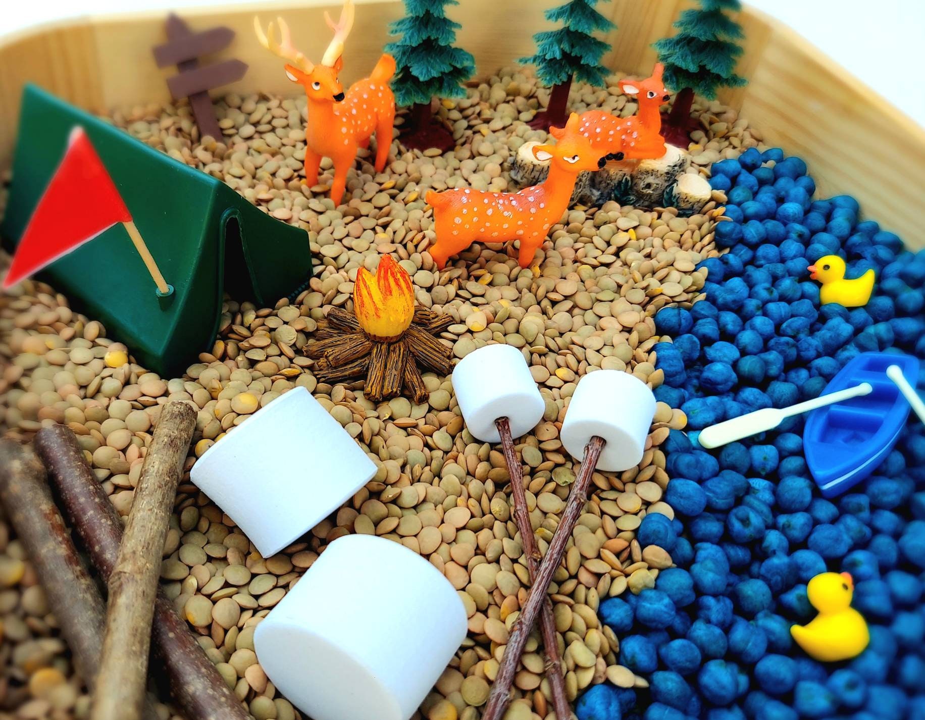 Sensory Bin Camping Sensory Bin Sensory Kit Sensory Bin Etsy