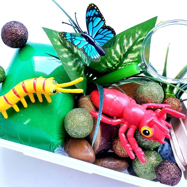 Bugs Playdough Kit, Playdough Sensory Kit, Sensory Kits for Kids, Playdoh Kit, Sensory Toys, Sensory Box for Boys, Sensory Box for Girls