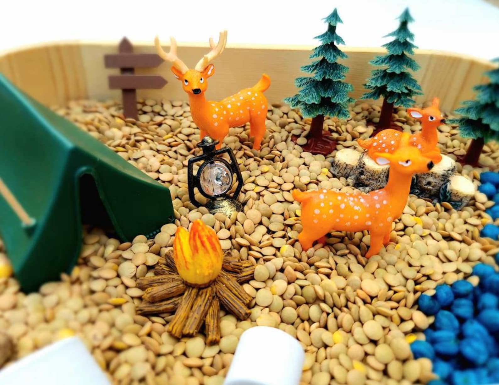 Sensory Bin, Camping Sensory Bin, Sensory Kit, Sensory Kit for Kids