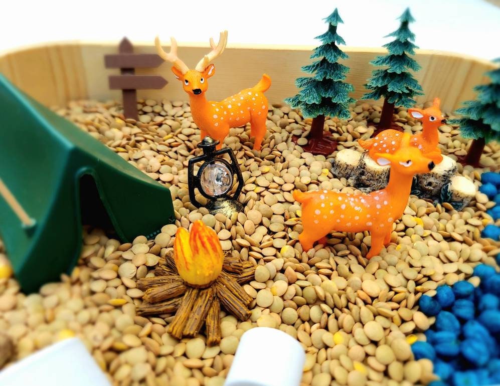 Sensory Bin Camping Sensory Bin Sensory Kit Sensory Bin Etsy