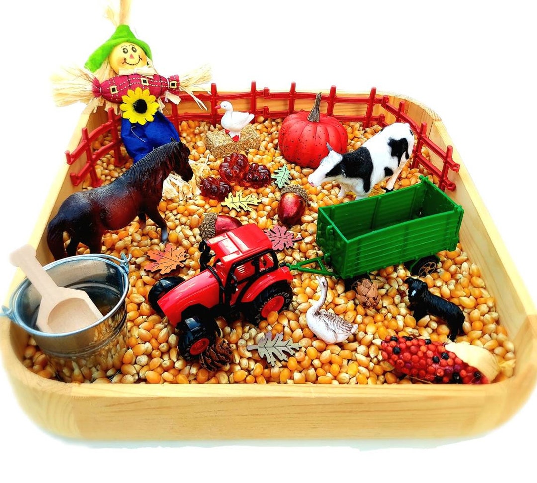 Fall Sensory Bin Sensory Bin Farm Sensory Bin Pumpkin