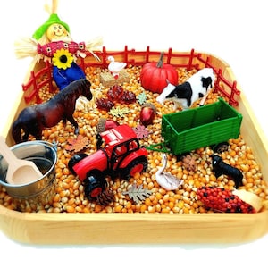 Farm Sensory Bin, Sensory Bin, Pumpkin Patch, Sensory Bin Kit, Harvest, Sensory Bins, Sensory Kit, Sensory Bin Toddler, Fall Sensory Bin