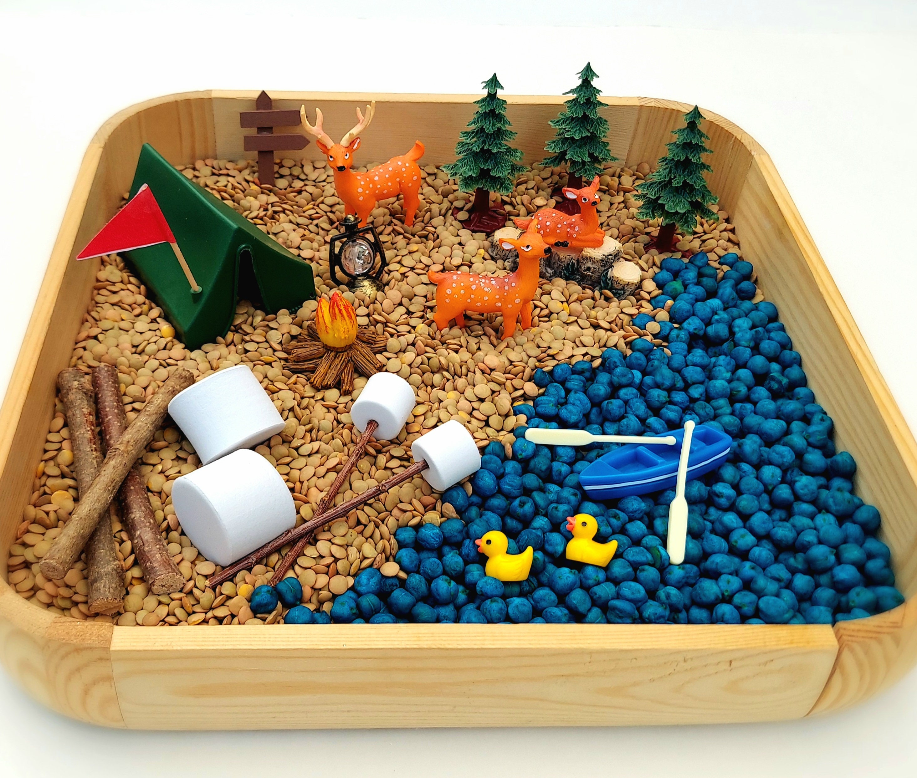 Sensory Bin, Sensory Table Materials, Sensory Toys, Sensory Bin