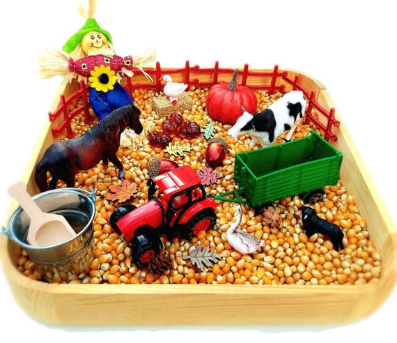 Fall Sensory Bin, Farm Sensory Bin, Toddler Sensory Activity