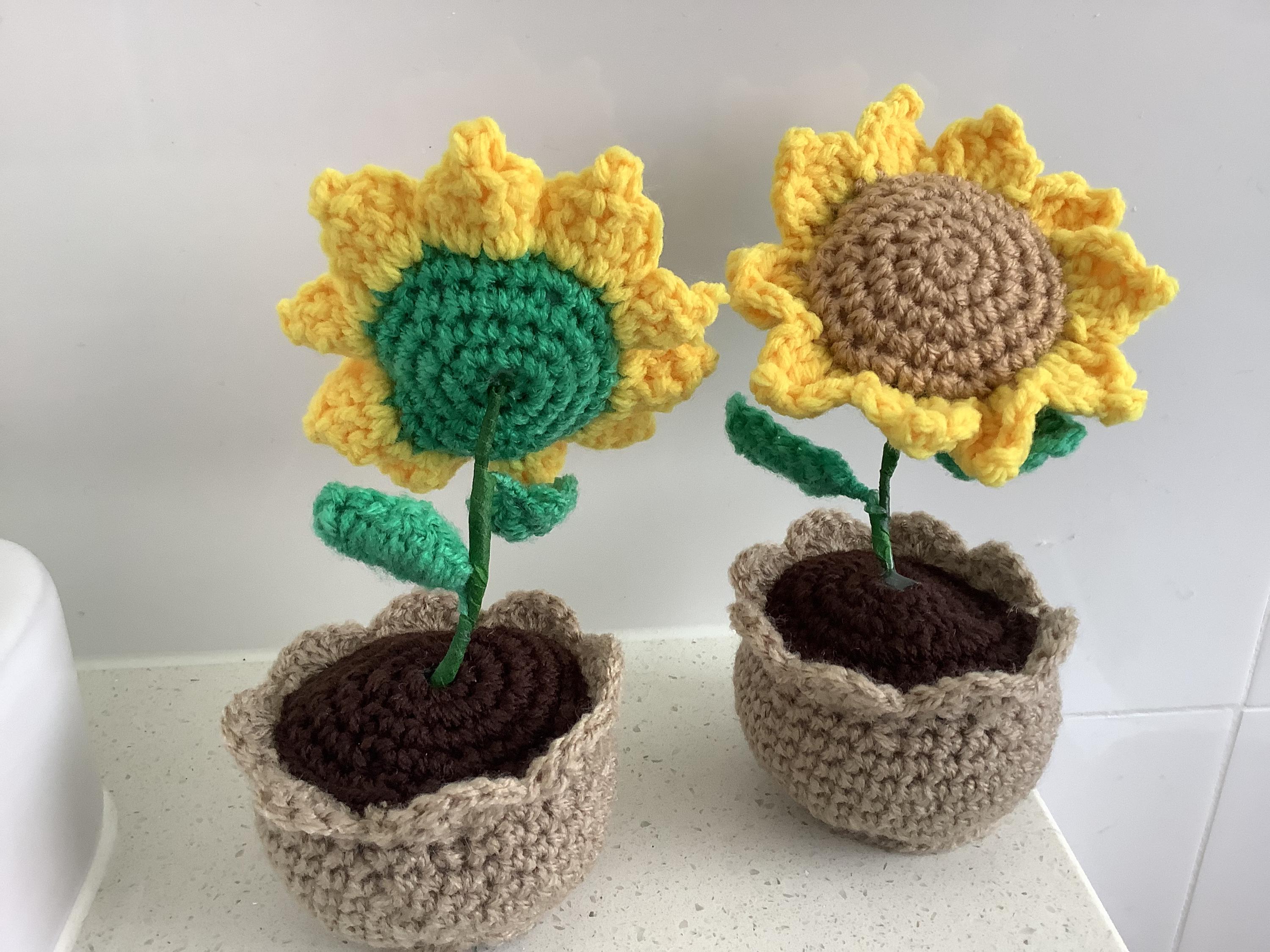 Mini Sonnenblume im Topf - Etsy.de