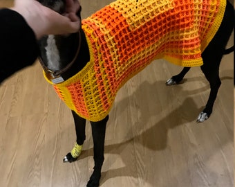 Greyhound crochet jacket
