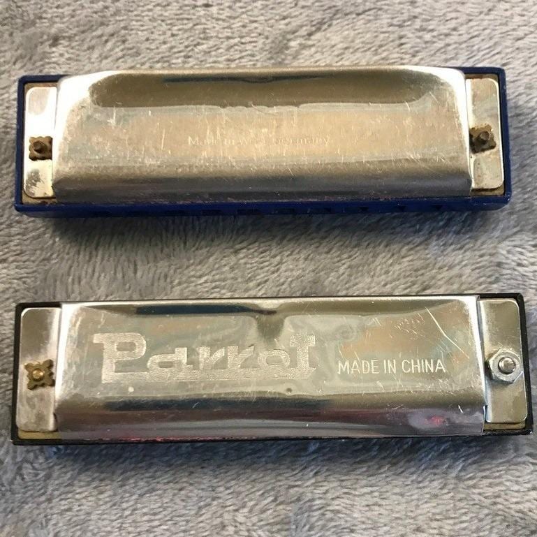 Harmonica Parrot - Etsy