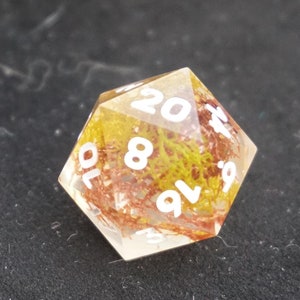 A Handfull of Moss D20