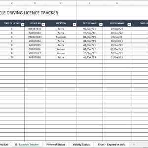 Voertuig rijbewijstracker | Gezondheids- en veiligheidsdashboard | Excel-dashboard