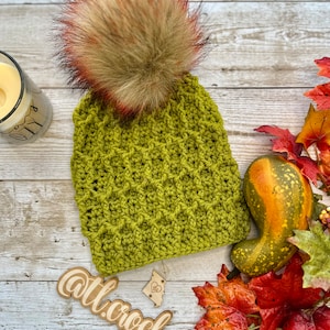 Turtle Shell Beanie, Crochet Pattern, Poms, Toque, Adult Beanie, Kid Beanie, Texture Unisex Beanie (PDF Digital Download)