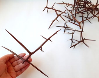 25 Acacia thorns, Thorns with spurs, Art craft, Natural materials, Dried thorns, Free delivery