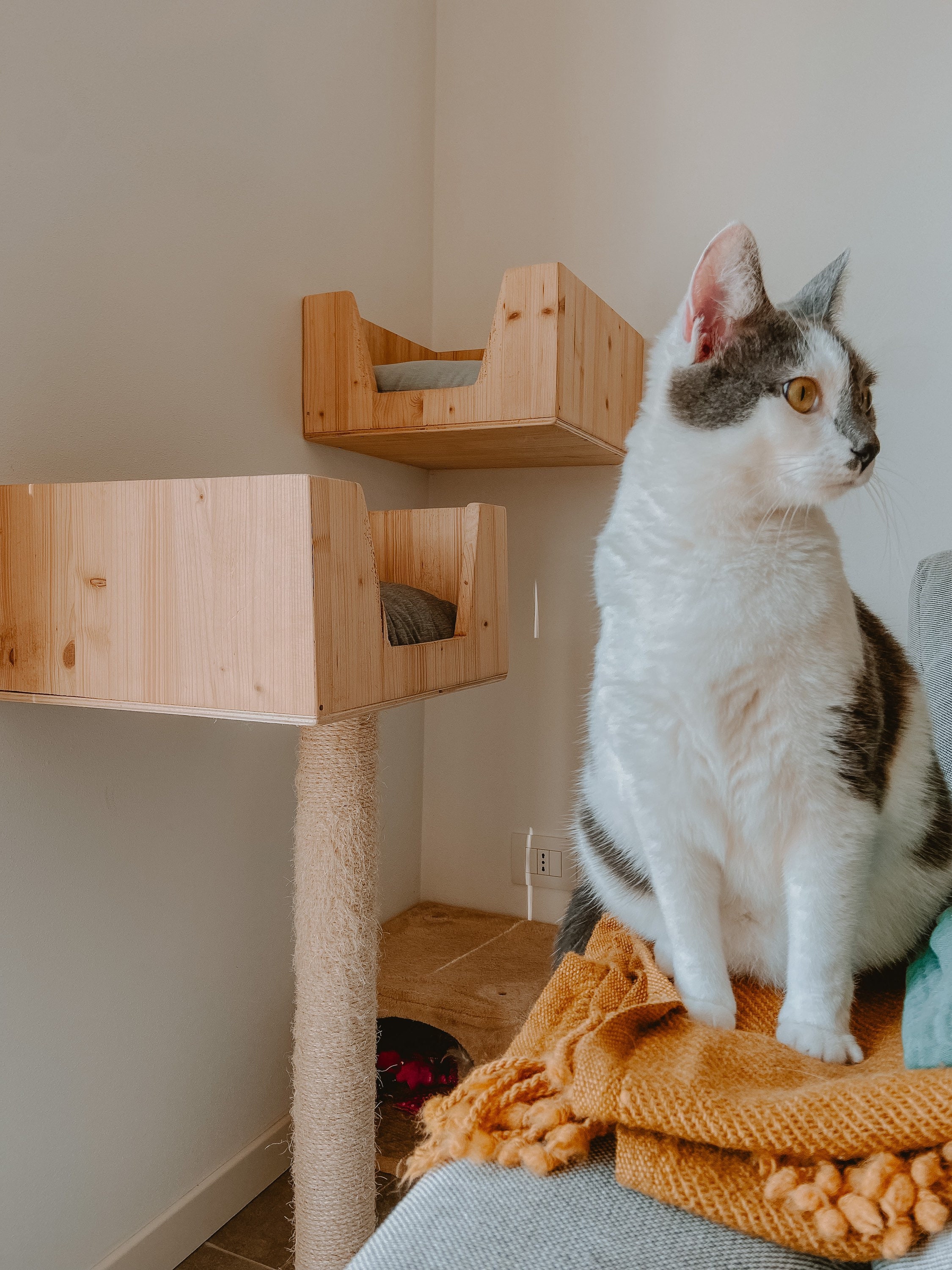 Miniature cat top furniture ikea
