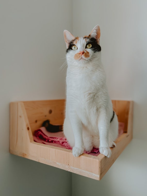 Hanging Cat House Cat Shelf Catification Etsy