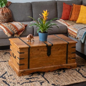 May include: A wooden storage trunk with black metal accents sits on a rug in a living room. The trunk is open and has a light wood finish. A potted plant with yellow flowers is on the trunk.