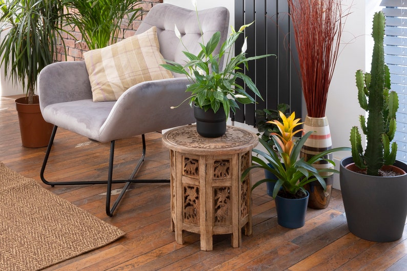 Puede incluir: Un sal&oacute;n acogedor con un sill&oacute;n gris, una mesa auxiliar de madera tallada y varias plantas en macetas. La mesa tiene intrincadas tallas de elefantes. Una alfombra tejida y suelos de madera completan el espacio.