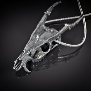 Muntjac Skull Pendant, Hand Polished (Dragon Skull Sterling Silver Brass Goth Jewelry Necklace Deer Antler Skull Pendant Skull Scan Art)
