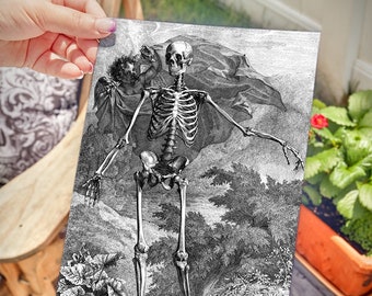 Art Print, "Albinus Skeleton", 7" x 10" Giclee Matte Archival Print