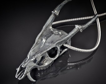 Muntjac Skull Pendant, Hand Polished (Dragon Skull Sterling Silver Brass Goth Jewelry Necklace Deer Antler Skull Pendant Skull Scan Art)