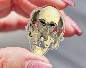 Beauchene Exploded Skull Acrylic Pin (Osteology Exploded Human Bone Anatomy Oddities Memento Mori Clear Acrylic Printed Wearable Pin)