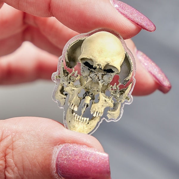 Beauchene Exploded Skull Acrylic Pin (Osteology Exploded Human Bone Anatomy Oddities Memento Mori Clear Acrylic Printed Wearable Pin)