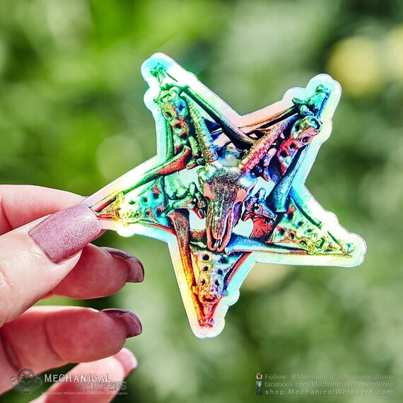 Vinyl Goat- Rainbow Holographic Vinyl Goat- Rainbow Holographic