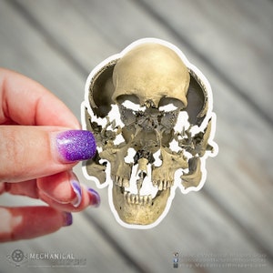 Beauchene Exploded Skull Vinyl Sticker (Osteology Exploded Human Bone Anatomy Oddities Memento Mori Beauchene Exploded Skull Sticker)