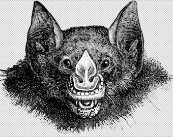 Vintage Bat Vampiro Dibujo Grabado Clipart Descarga Digital Instantánea Super Alta Resolución PNG transparente Halloween Clip Art Scrapbook