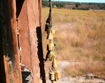 May include: A string of gold bells hanging from a wooden structure. The bells are attached to a brown cord and are hanging in front of a field of tall grass.