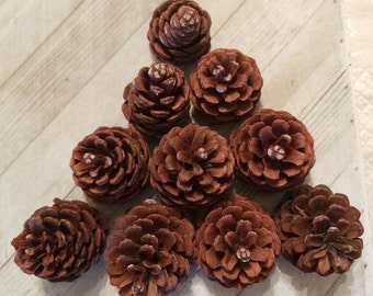 10 Real Natural Pine Cones for Crafts 3"-5" Home Holiday Decorations, Wreaths, School Projects, Flowers, Wedding Decor, Potpourri, Supplies