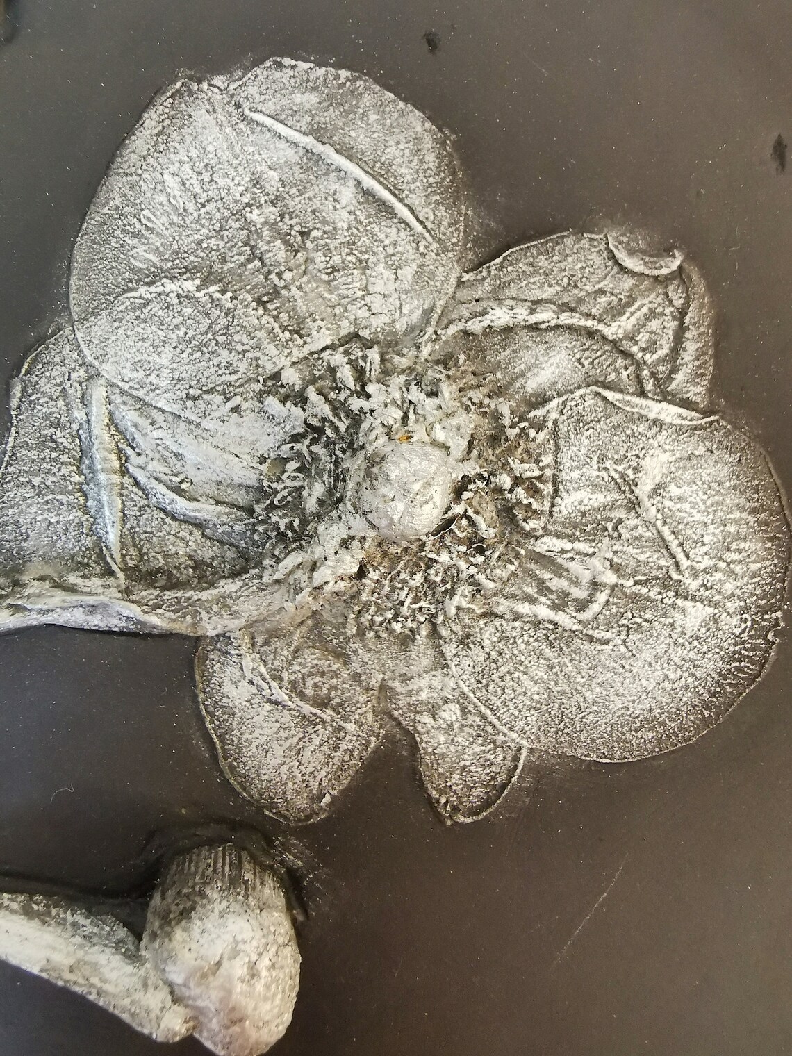 Anemone baldosa negra con relieve de plata Yeso fundición de | Etsy