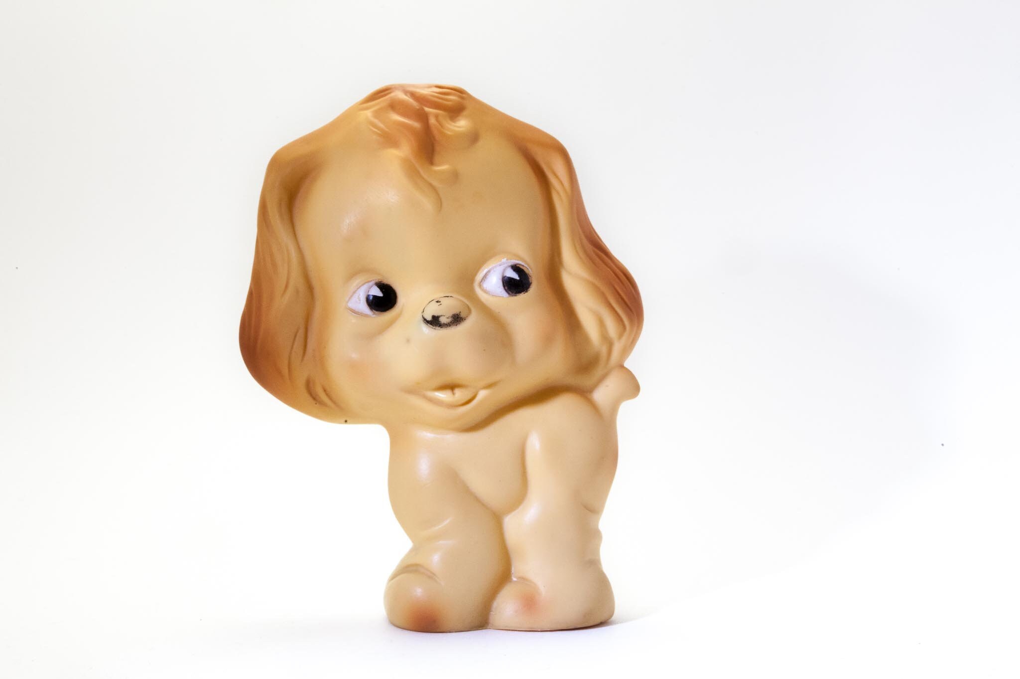 Dog With Long Haired Ears Etsy