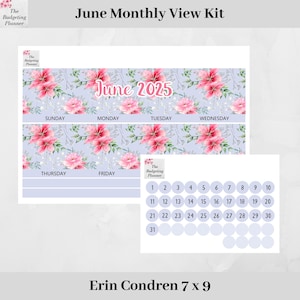 Kit mensual de Erin Condren para junio de 2025 en Grey Lilies para incluir mensualmente en EC: pegatinas de planificador mensual con pegatinas de puntos de fecha