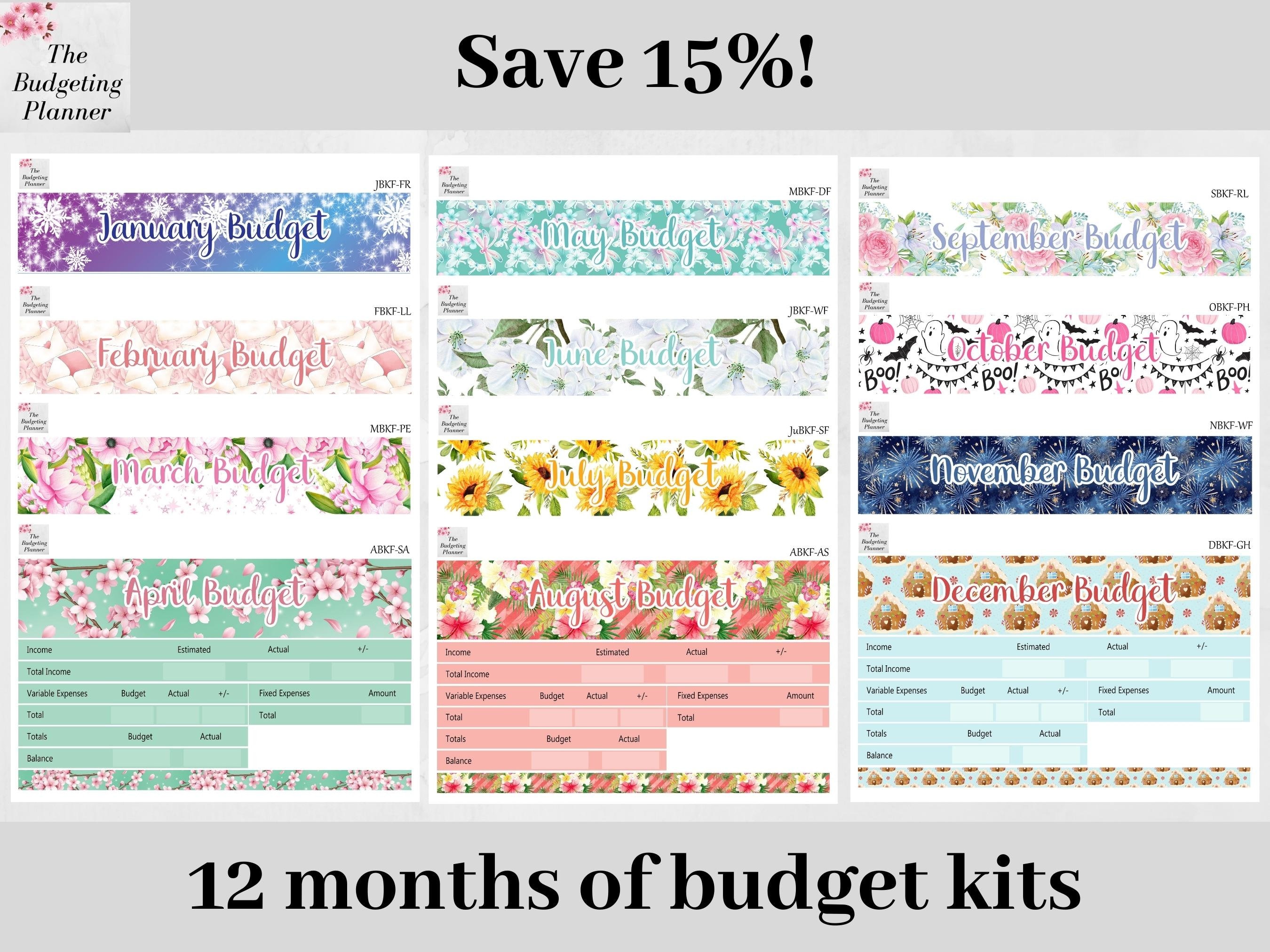 Budget Planner Stickers Bundle - 12 Months of Budget Kits for Your Erin ...