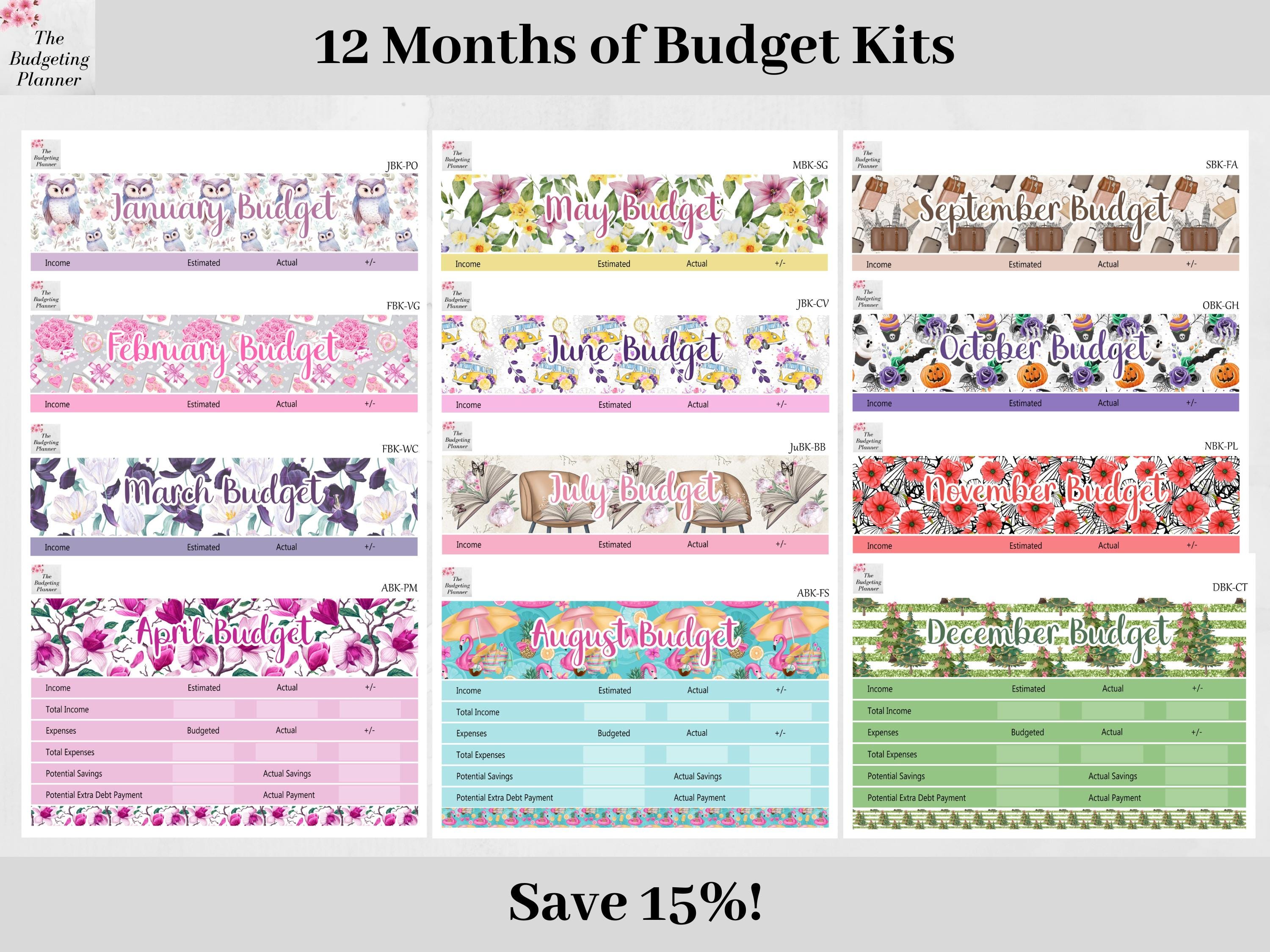 Budget Planner Stickers Bundle - 12 Months of Budget Kits for Your Erin ...