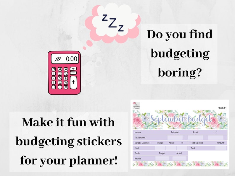 Budget Planner Stickers Bundle - 12 Months of Budget Kits for Your Erin ...