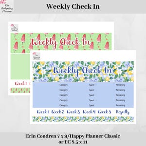 Sticker enregistrement hebdomadaire - motif Vichy citron ou sucettes pastèque - Stickers budget planner pour suivre votre budget dans votre Erin Condren