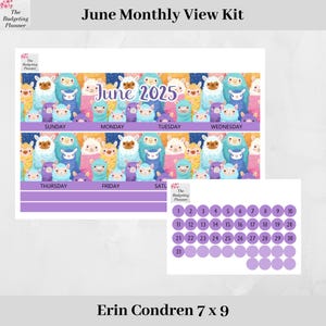 Kit mensual de Erin Condren para junio de 2025 con un bonito diseño de alpacas para adaptarse mensualmente a EC: pegatinas de planificador mensual con pegatinas de puntos de fecha.
