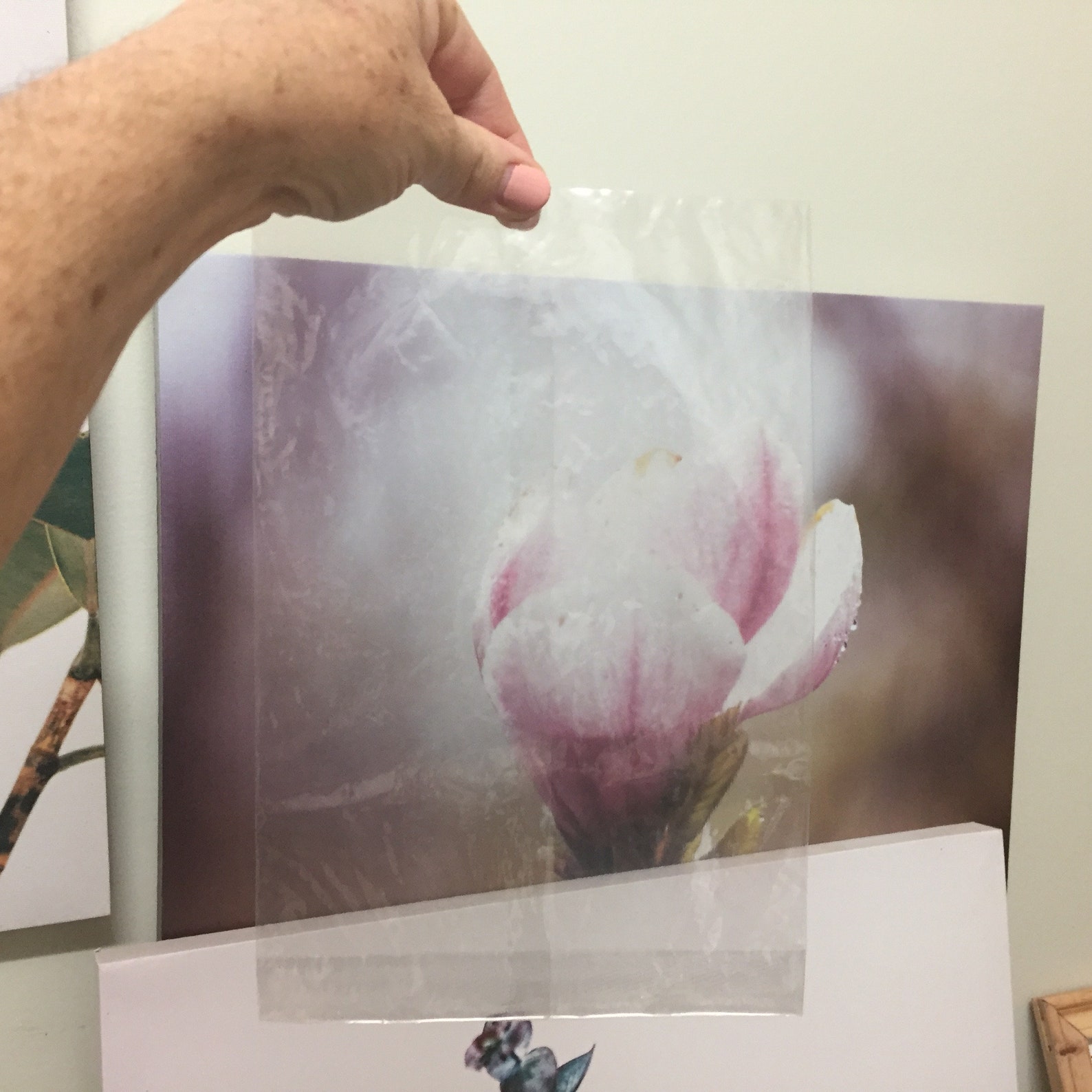 25 X A4 Cello Bags Compostable Cello Bags Ecofriendly Etsy