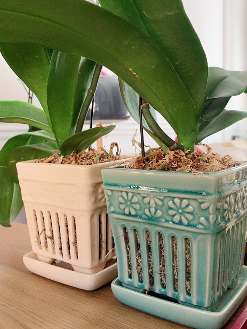 Square Ceramic Orchid Pots with Tray Succulent Air Plants Etsy