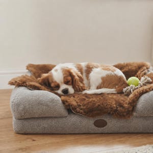 Real Sheepskin Pet Rugs - Various Colours - Eco-friendly - Dog Bedding - Interior -Bedding - Animal Rug