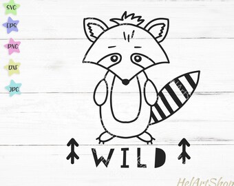 Download Baby Raccoon Svg Etsy