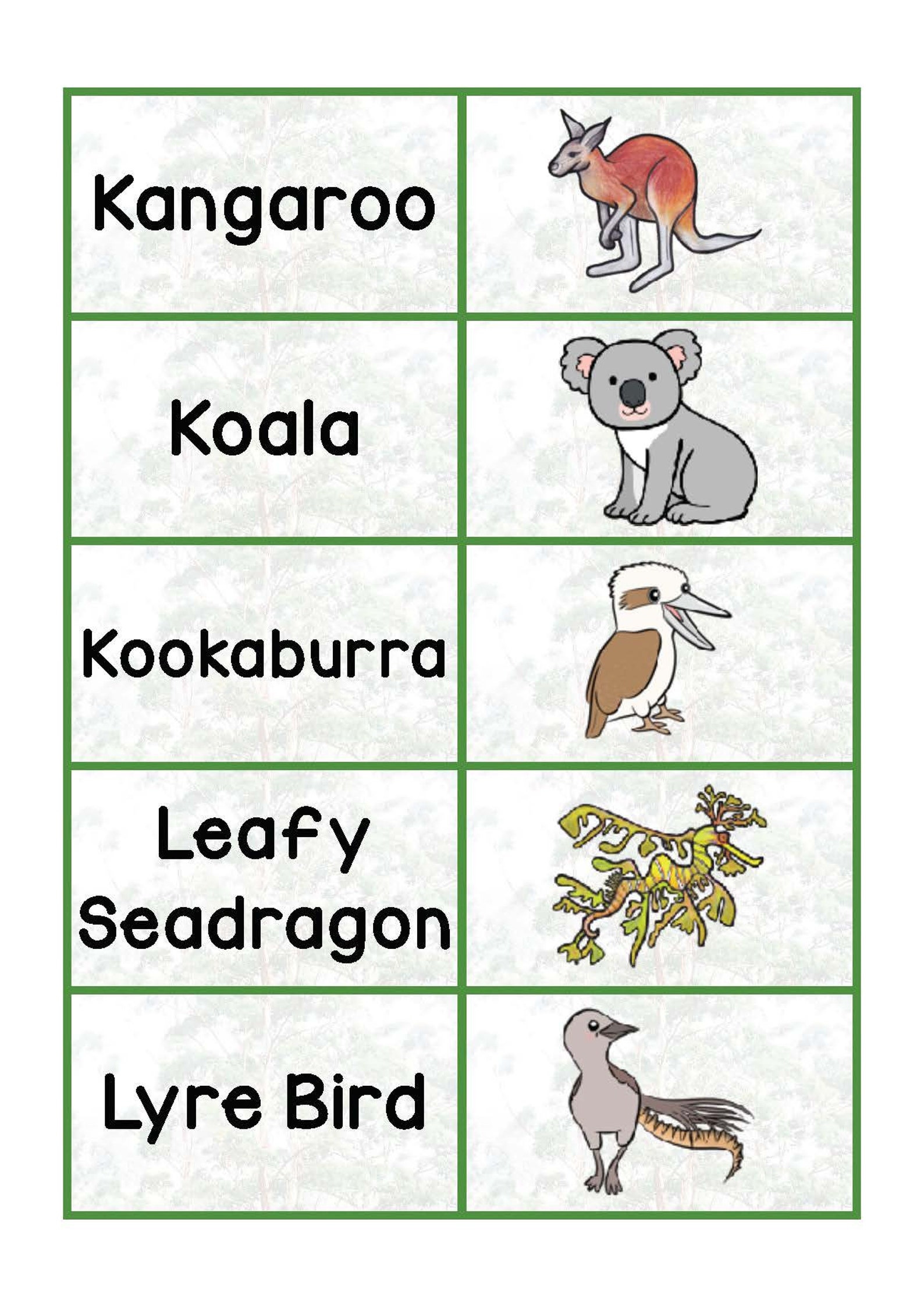 Australian Animals Flash Card Games Fun Holiday Activity Etsy