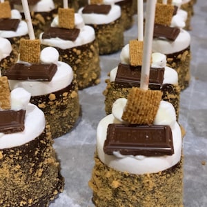 S&#39;mores “Large” marshmallow pops wedding favors, showers, birthdays