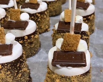 S'mores “Large” marshmallow pops wedding favors, showers, birthdays