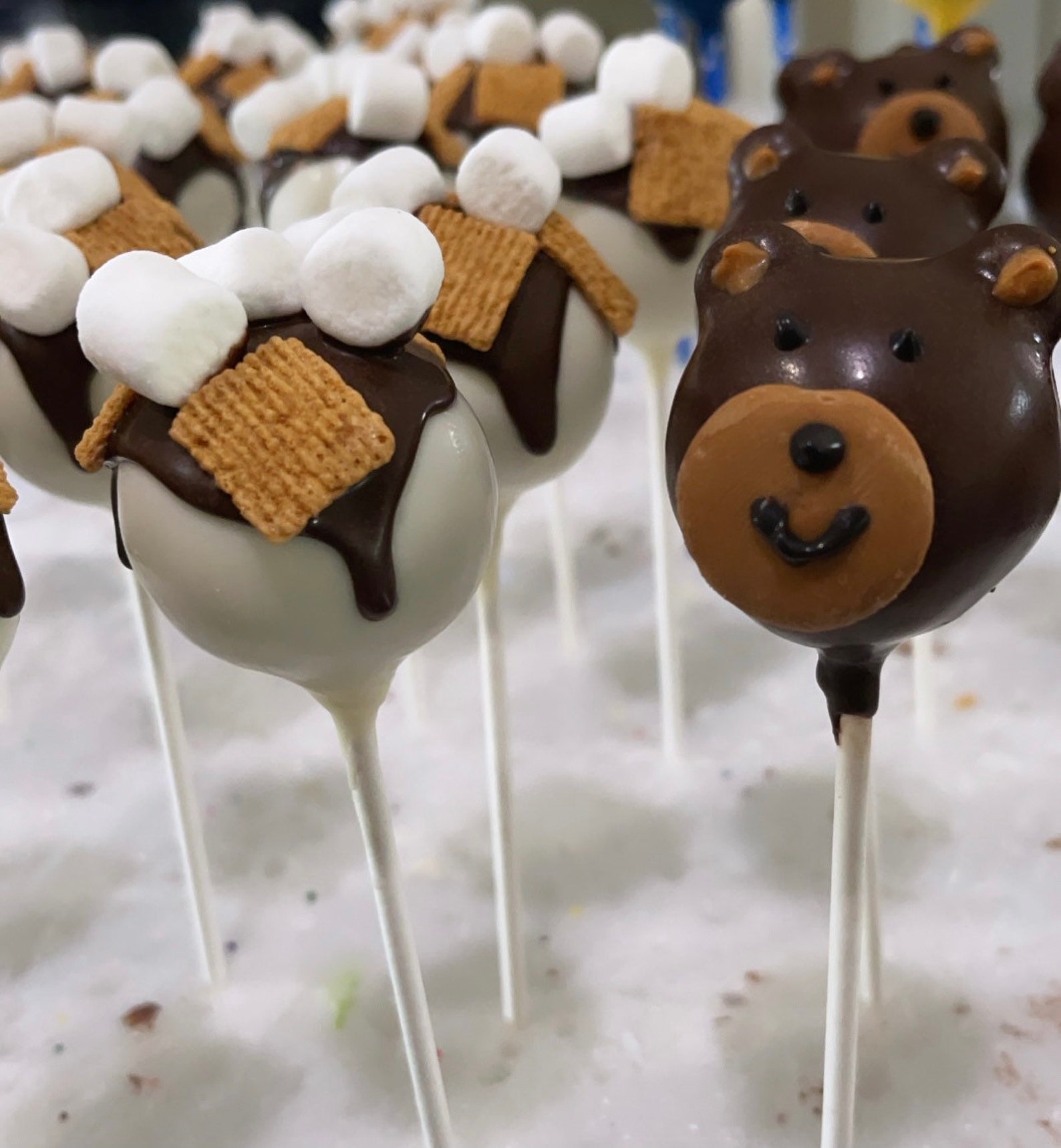 Bear & S'mores Cakepops or Sprinkle Pops Great for - Etsy
