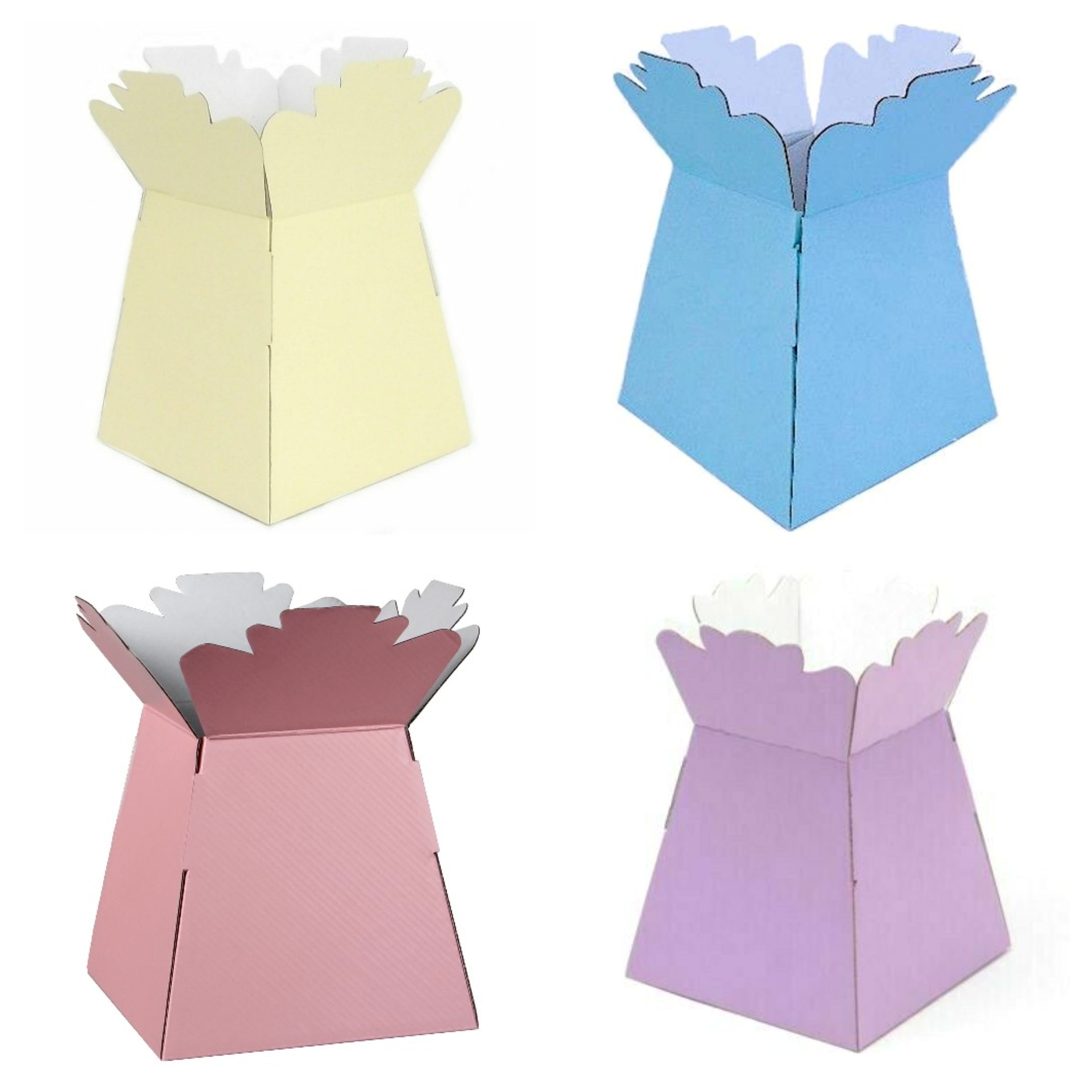 Living Vases Florist Bouquet Box Flower Plant Aqua Sweet Boxes Etsy