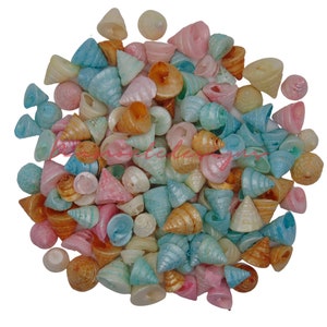 Puede incluir: Un montón grande de pequeñas conchas marinas de colores. Las conchas son de varios colores pastel, incluyendo rosa, azul, verde y amarillo. Todas tienen forma de cono y un acabado liso y brillante.