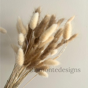 May include: A bouquet of dried bunny tail grass in shades of beige, cream, and brown. The fluffy, textured flower stems are bundled together, creating a natural and rustic aesthetic. The image includes the text "Diamontedesigns".