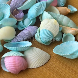 May include: A collection of assorted seashells in pastel shades of blue, pink, purple, and cream. The shells feature various textures, including ribbed and spiral patterns. The text Diamonte Designs is visible in the centre of the image.
