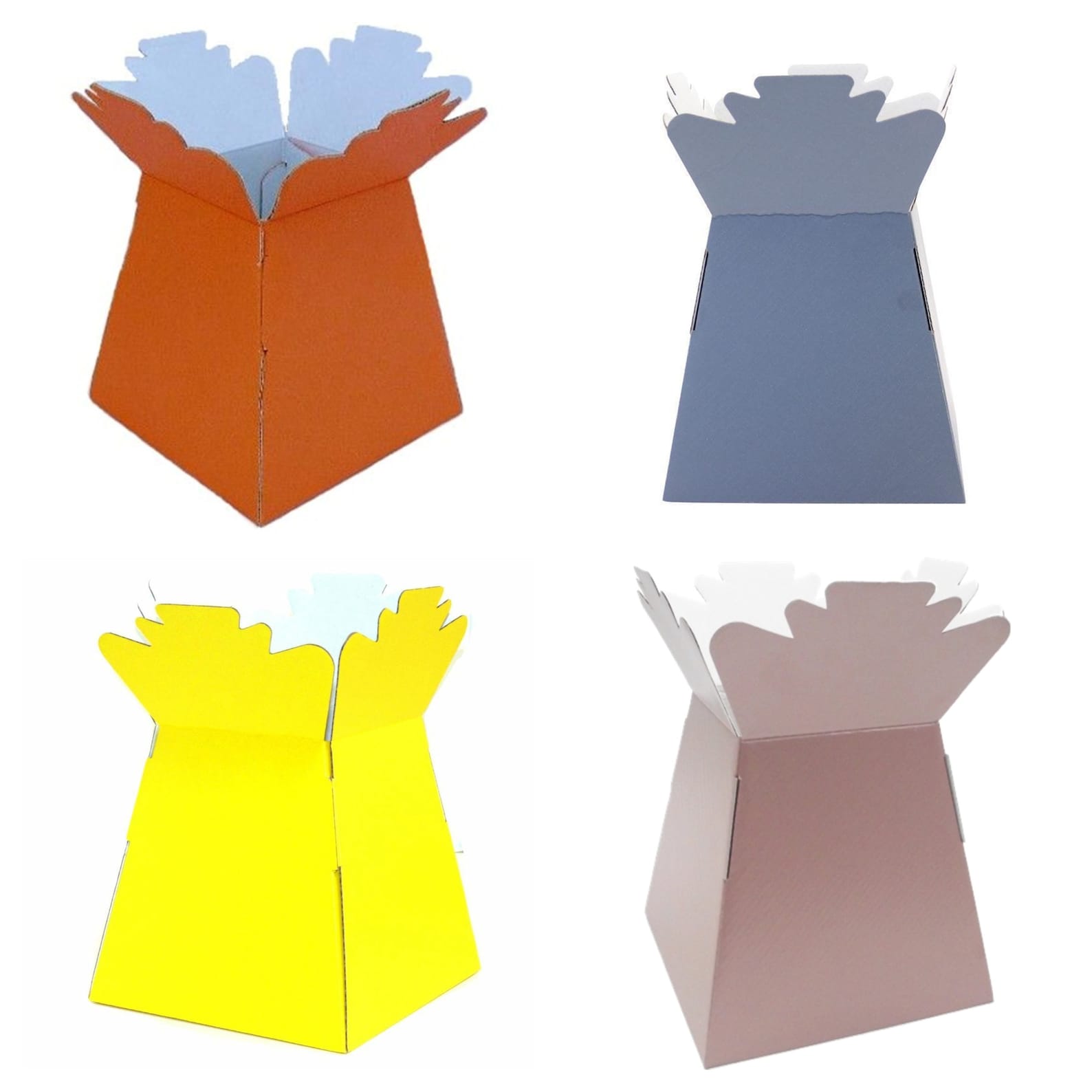 Living Vases Florist Bouquet Box Flower Plant Aqua Sweet Boxes Etsy